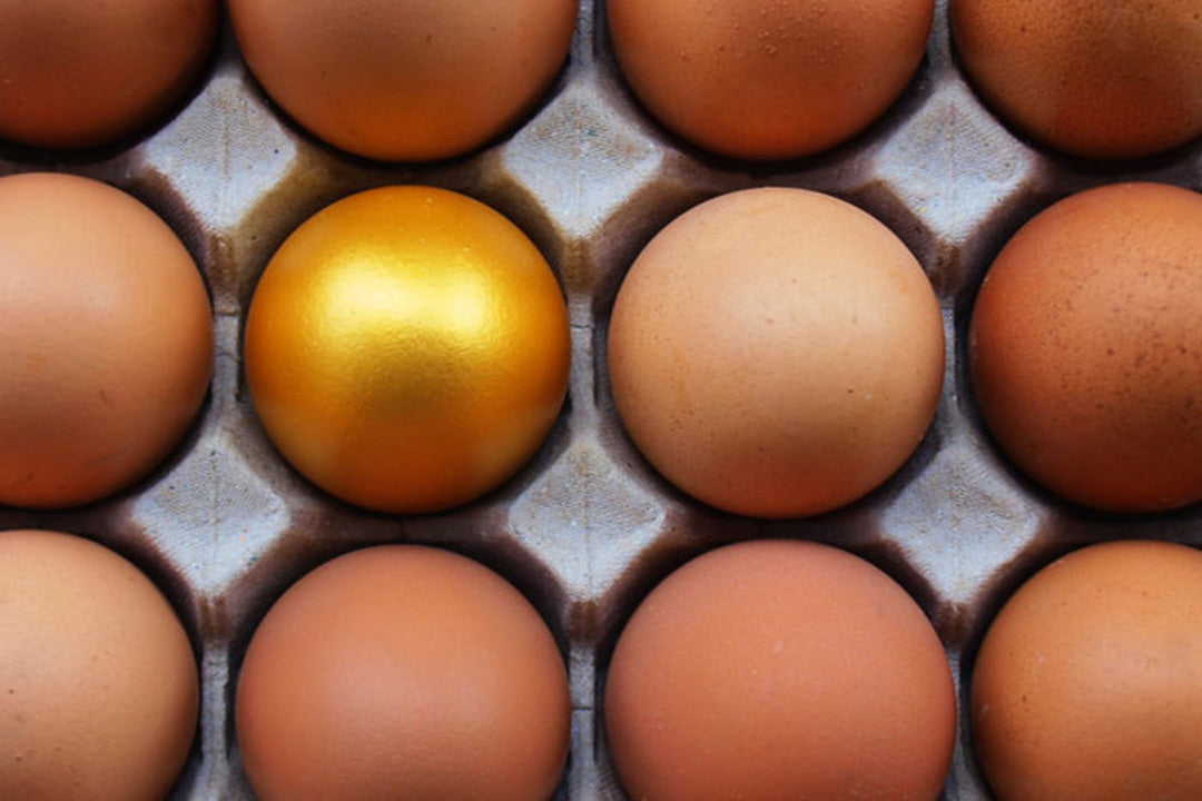 YPO — Becoming a worthy leader