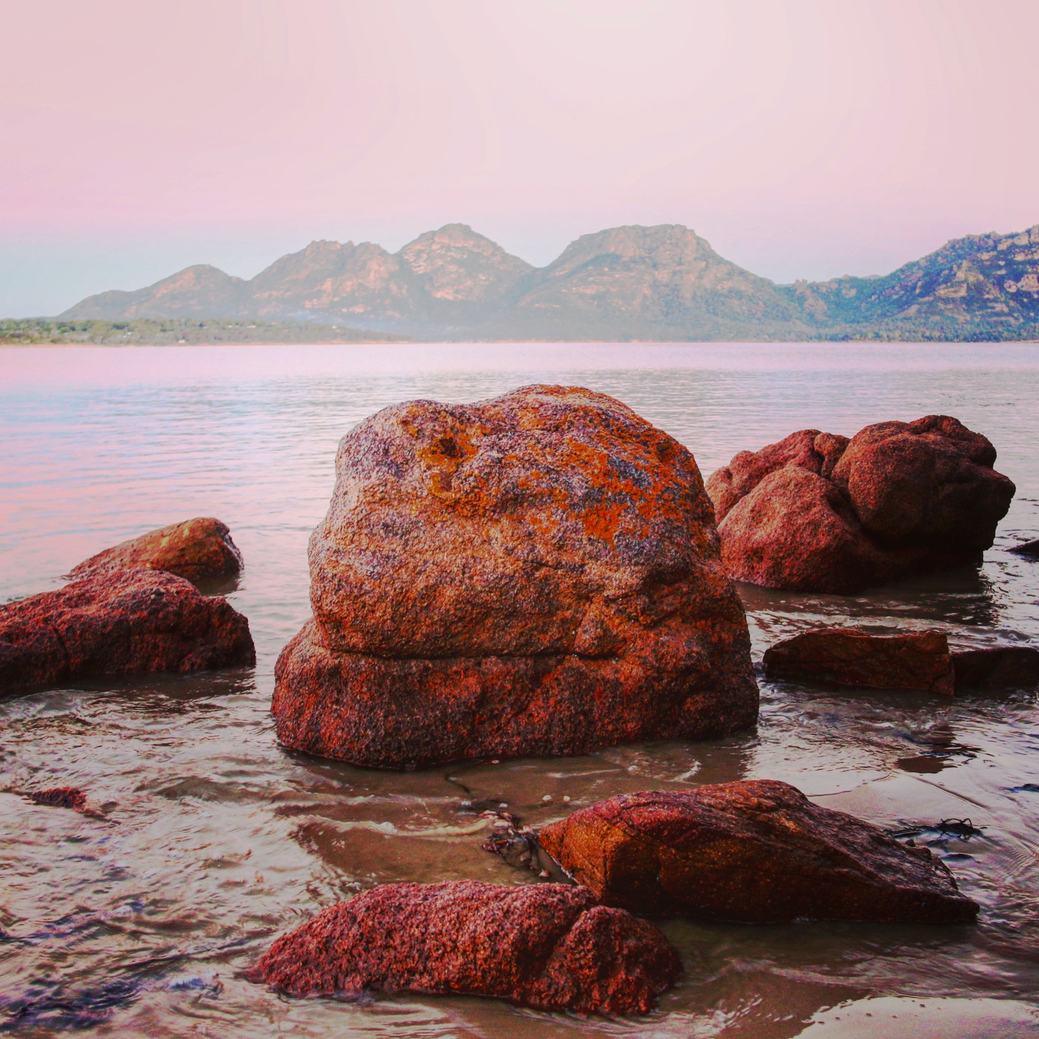 BEWARE OF LEADERS WHO HAVE POWER AND LACK INTEGRITY