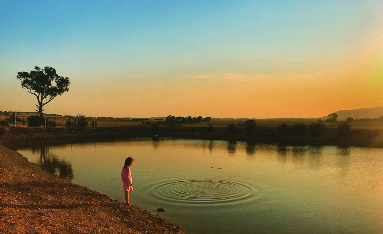 WHAT IS A BEAUTIFUL LIFE? A reflection after months in COVID isolation.