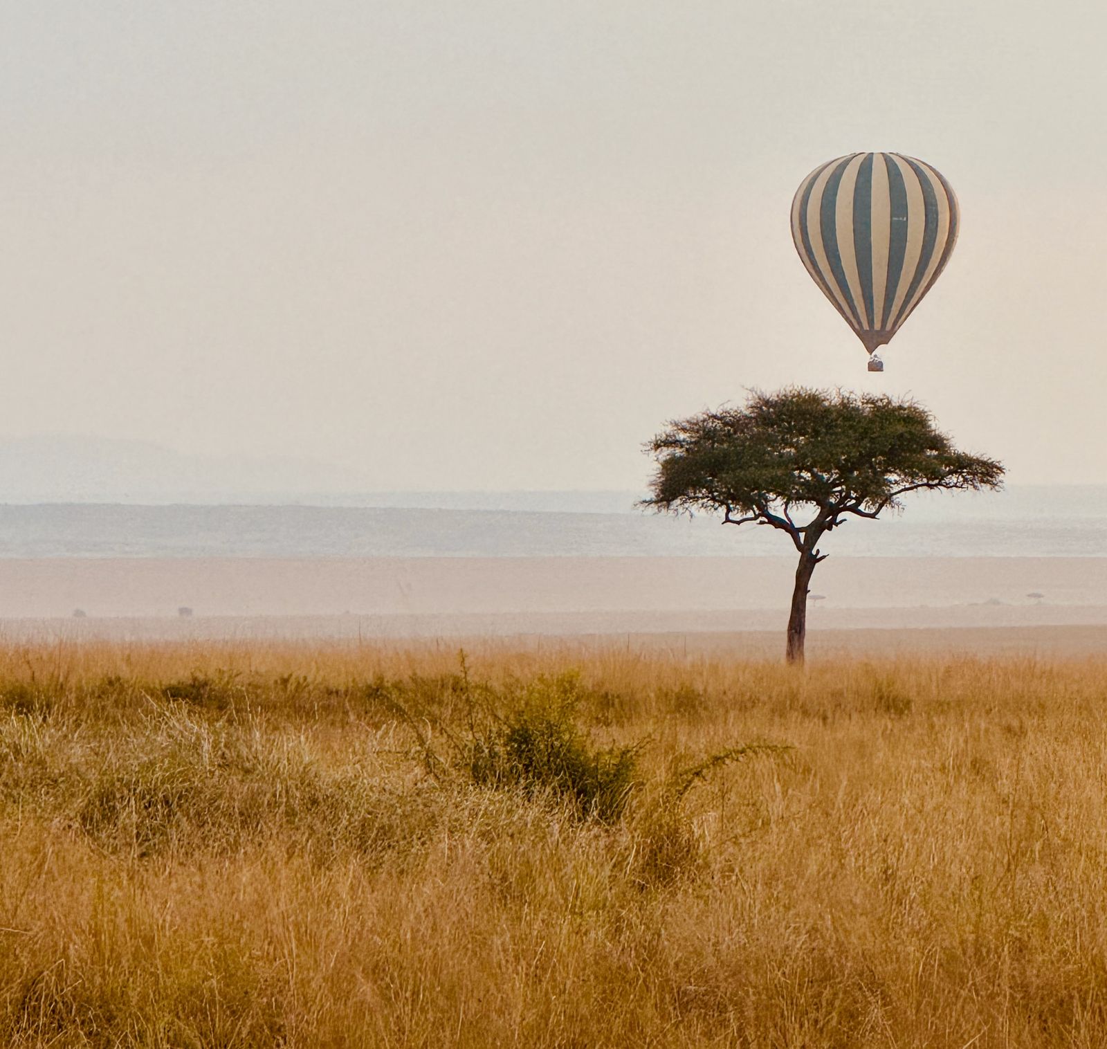 FROM STARTUP SPARK TO SCALEUP POWER: HOW TO TRANSITION FROM FOUNDER TO LEADER