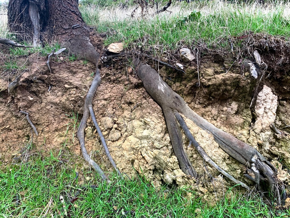 HOW TO LEAD WITH SELF BELIEF AND FEEL WORTHY